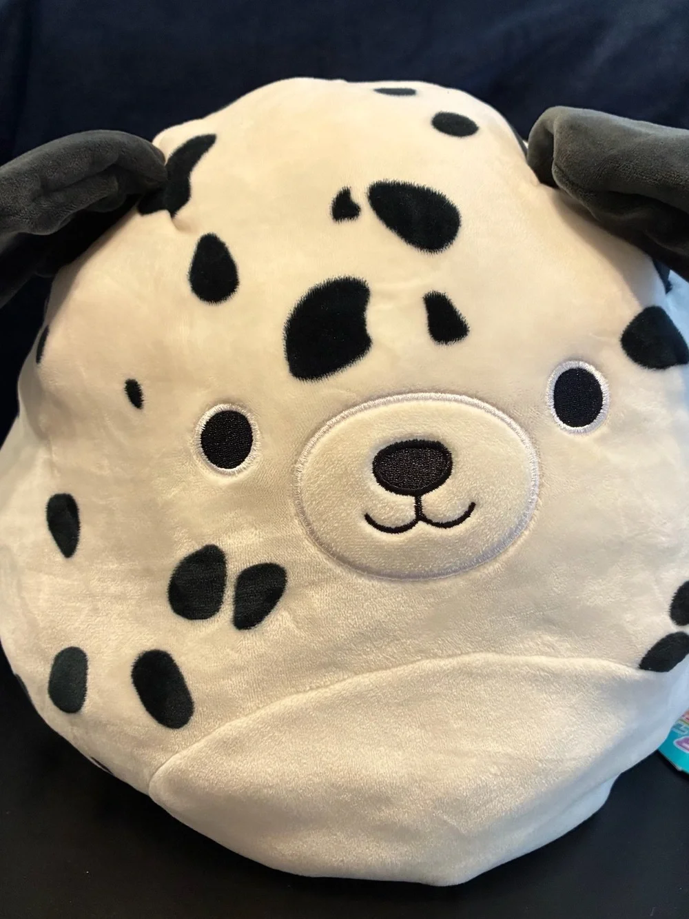 Squishmallow Flip-A-Mallow Andres the Sheltie and Dustin the Dalmation 12”